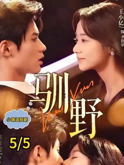 破墓预告片封面